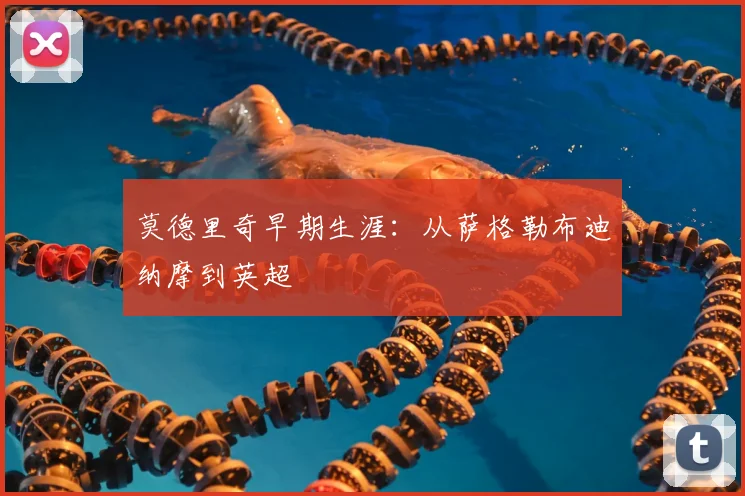 莫德里奇早期生涯:从萨格勒布迪纳摩到英超